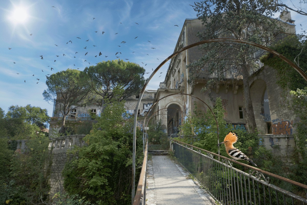 Passerelle métallique envahie par la végétation menant à la façade du Château, avec une huppe fasciée posée sur la rambarde et un vol d'oiseaux dans le ciel