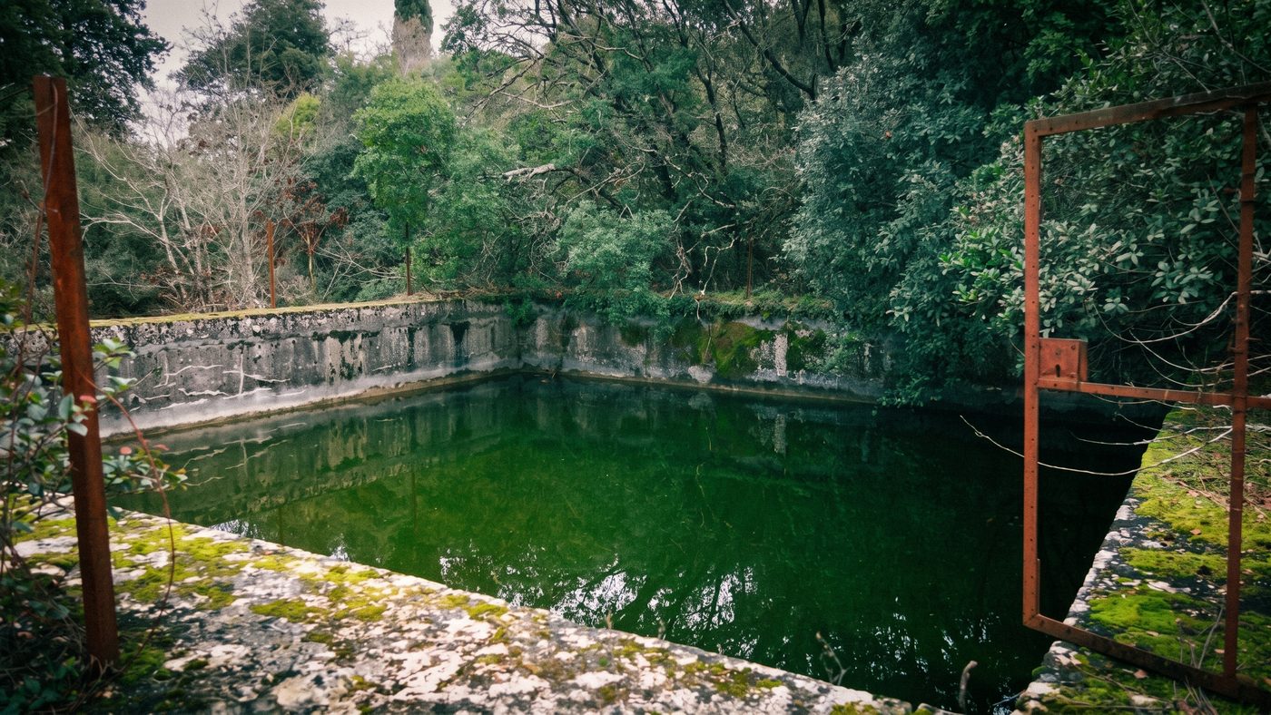 Ancien bassin d'eau du parc, aux eaux vert profond, entouré de végétation dense