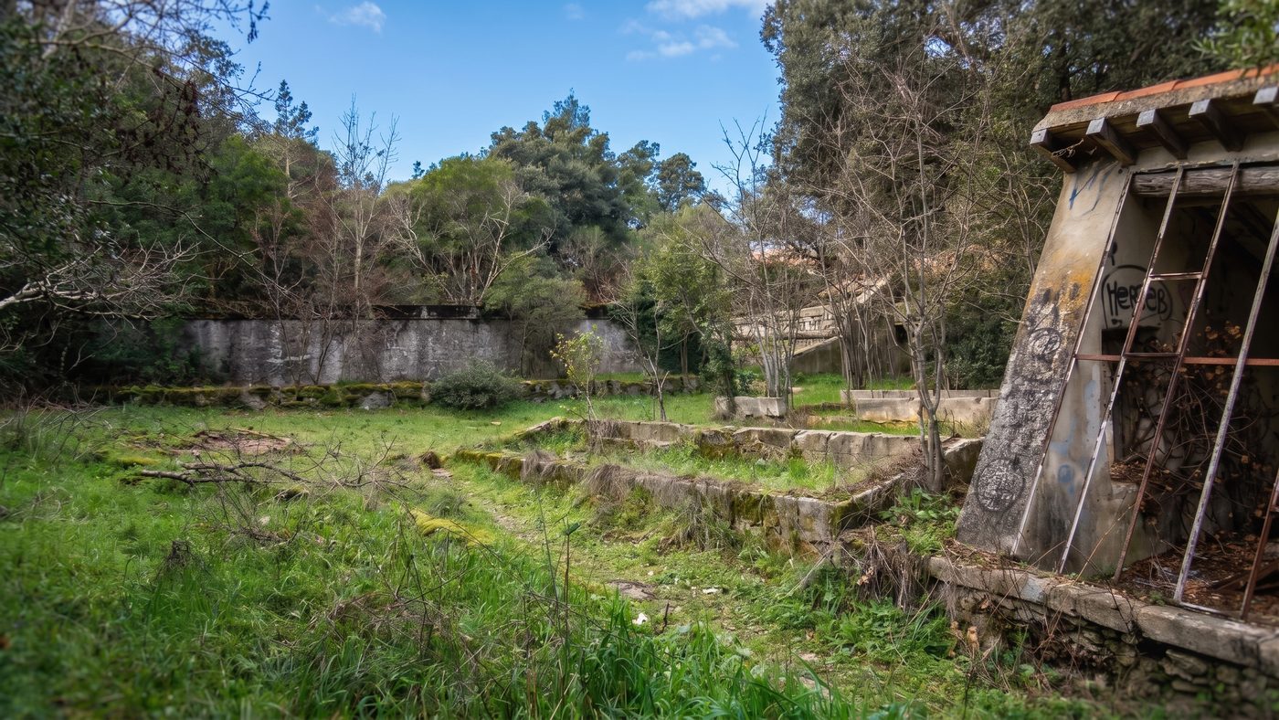 Anciennes fondations et bassins du parc, aujourd'hui recouverts d'herbe et de mousse