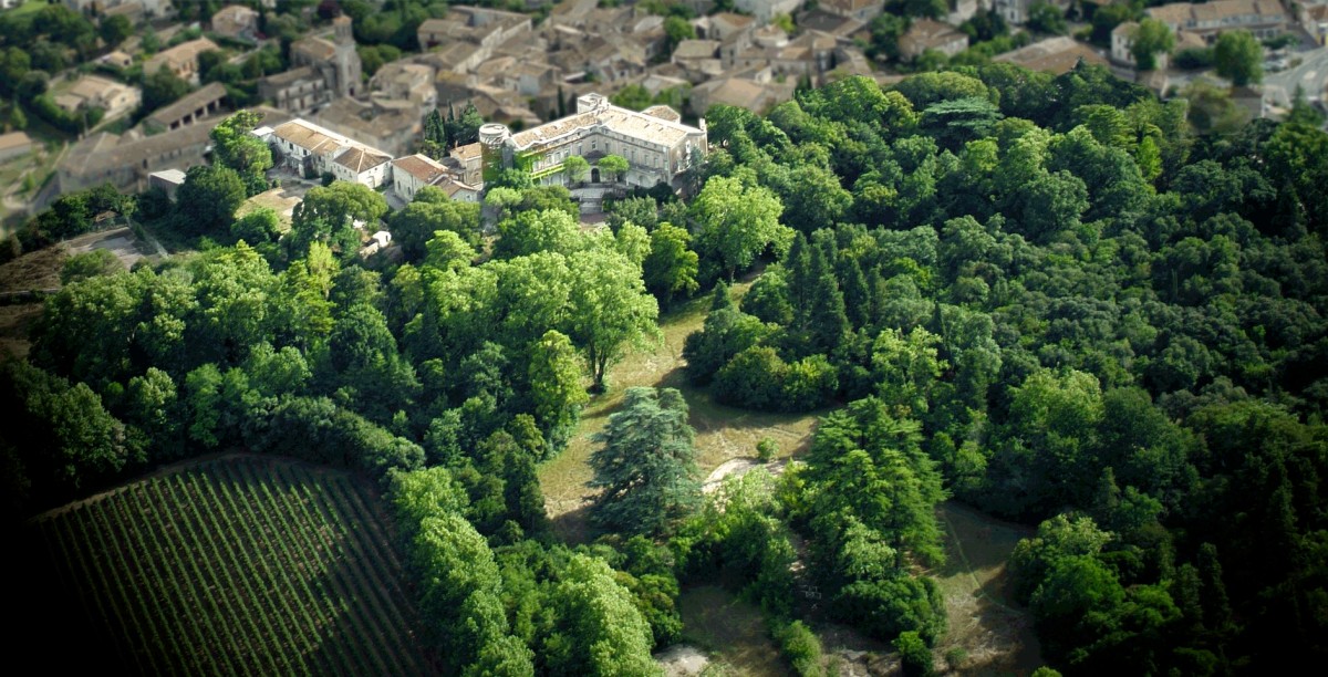 Vue aérienne du Château de Boisseron entouré de son parc arboré et de vignes, au cœur du village